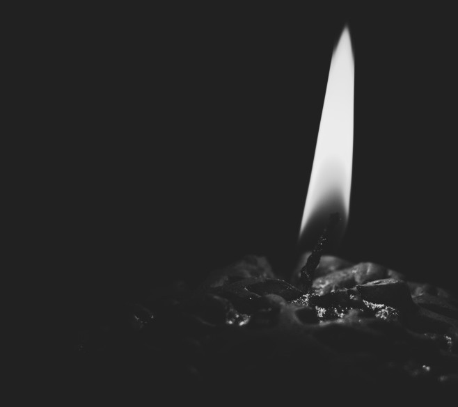 Test Ad as Selling Décor Plant